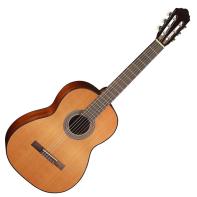 Cort AC100-SG