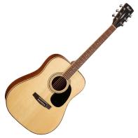 Cort AD880-NS