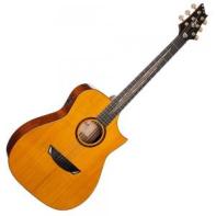 Cort Luxe II with case