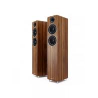 Acoustic Energy AE309 hangsugárzó, dió