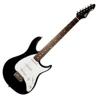 Peavey PG-Raptor Custom Black