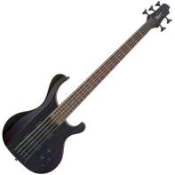 Cort T35 GC