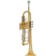 B&S 3137 Challenger I B trombita, lakkos