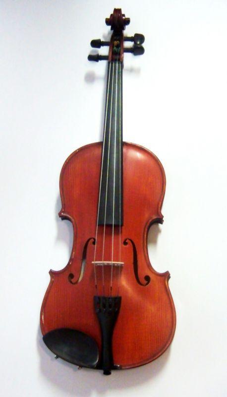 Savona Student special 4/4
